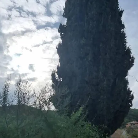 Casa Il Cipresso * サンタルビノ